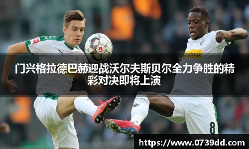 mk体育官方网站