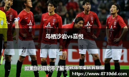 鸟栖沙岩vs喜悦